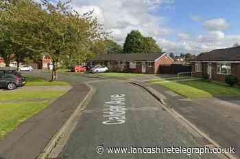 Cats ‘shot with BB gun pellets’ in Calder Avenue, Chorley