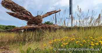 Climate Action North: 'We need climate action on all fronts, everywhere, all at once'