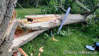 'A lot of cleanup,' Residents left with aftermath of storm that downed trees and power lines