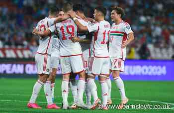 STYLES' HUNGARY DEFEAT SERBIA IN BELGRADE