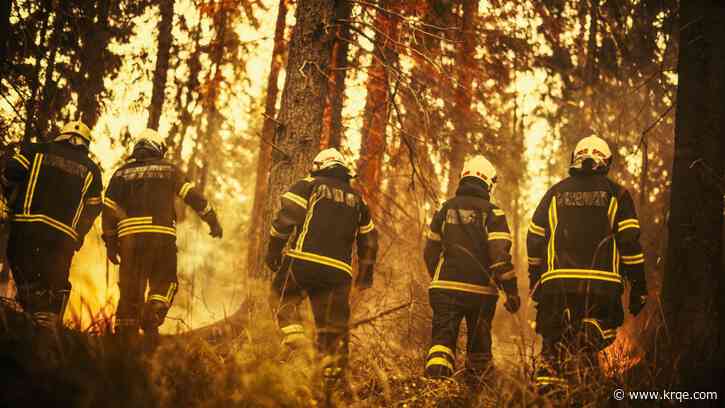 U.S. Forest Service hiring firefighters in New Mexico