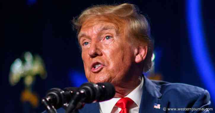 Group Sues to Have Trump Removed from Ballot - And It Has a Track Record of Getting What It Wants