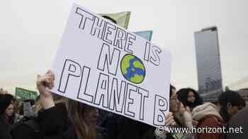 Dmexco-Umfrage: Deutsche wünschen sich mehr Nachhaltigkeit in der Werbung