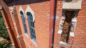 Bees busy in Boulder for the past 80 years find new home