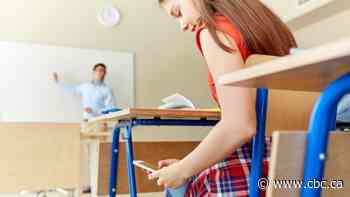No more cellphones in Manitoba francophone schools, division says