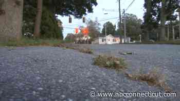 Police say death of woman found in backyard of Plainfield home is suspicious