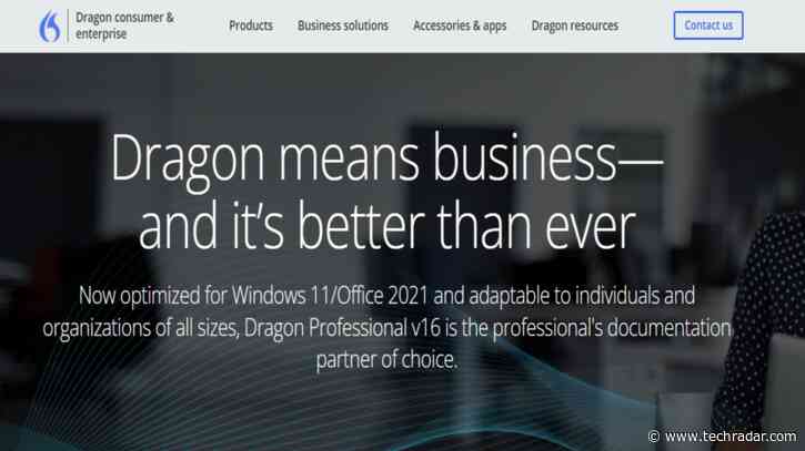 Dragon Professional review