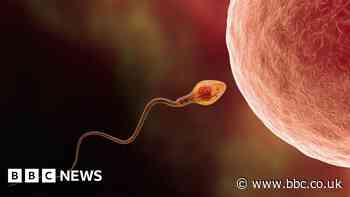 How AI may be a powerful tool in treating male infertility