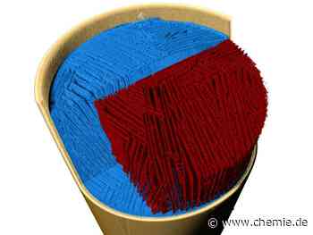 Röntgentomoskopie: Wie sich beim Gefrierguss komplexe Strukturen bilden, lässt sich nun in 3D filmen