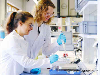 Nach dem Vorbild der Natur: Muskeln für softe Roboter