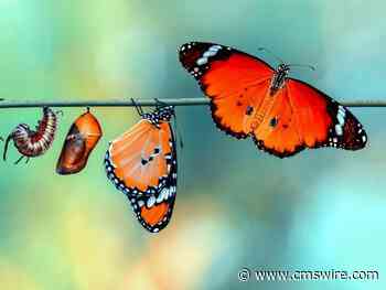 Digital Transformation in Customer Experience and the Butterfly Effect