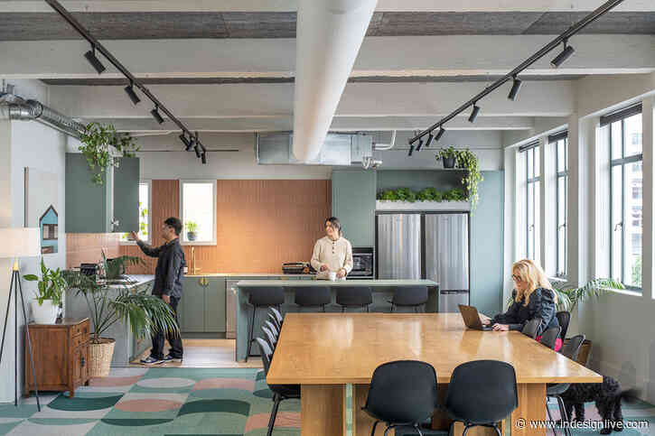 University neighbours: Solari Architects’ very own Cuba Street office