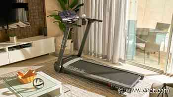 Best Treadmills of 2023     - CNET