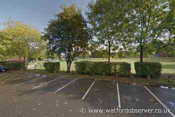 Bushey Fun Dog Show cancelled over heat-health fears