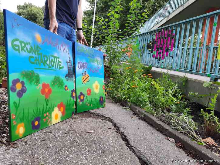 Bürgermitwirkungsbudget: Grüne Charlotte sucht helfende Hände!