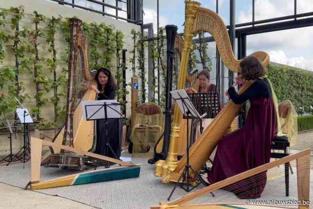 Harpisten bezorgen SeptemberFestival betoverende start