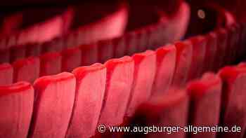 Fünf Euro pro Film: Diese Kinos in Augsburg und Umgebung nehmen am Kinofest teil