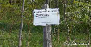 Inside the Greenbelt deal from 2 developers’ perspectives