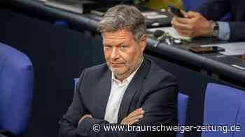 Habeck zu AfD: "Wer Klimawandel leugnet, sollte schweigen"