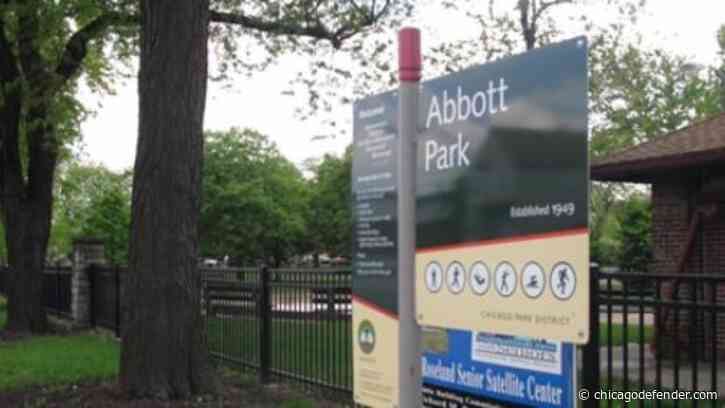 Free Root Operation Hosts a South Side Community Cleanup Led by Black Moms