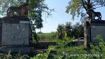 I "Due Leoni" torneranno a ruggire