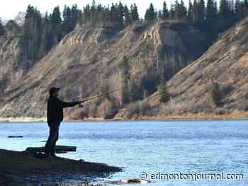 David Staples: Popular uprising forms against Edmonton handing over river valley to Ottawa management