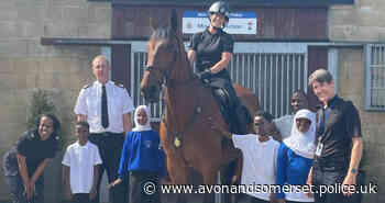 Bristol to choose name of police horse honouring Bristol Bus Pioneers