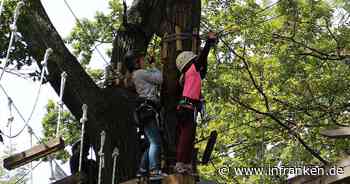 Kletterabenteuer im Landkreis Bamberg: Der Kletterwald Veilbronn