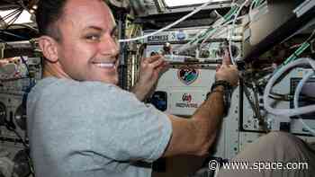 Astronauts just 3D-printed knee cartilage in space for the 1st time and it's as weird as it sounds