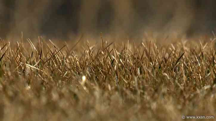 Johnson City is holding an 'Ugliest Lawn' contest — here's why