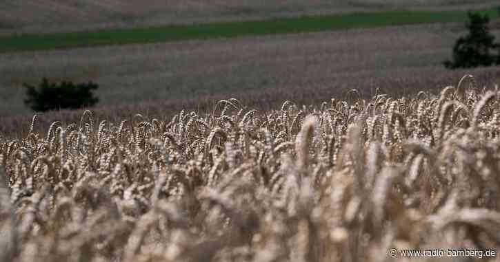 Oberfränkische Felder in gutem Zustand