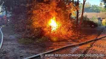 Brennendes Starkstromkabel bei Wolsdorf: Ursache weiter unklar