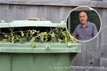 Bushey residents could face green waste collection charges