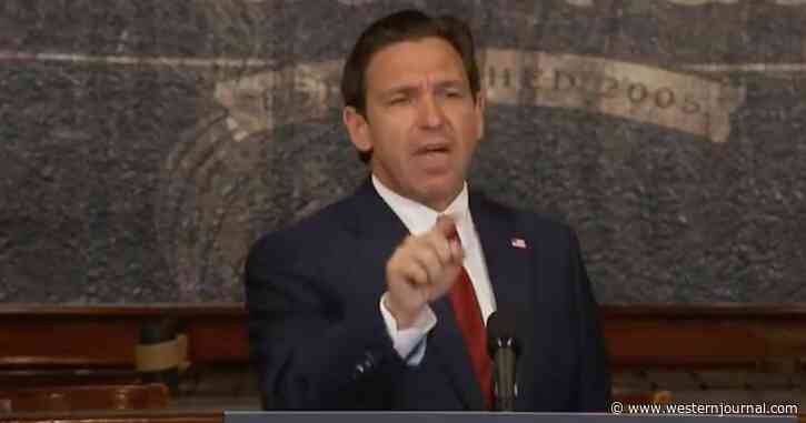 DeSantis Torches Critic: 'I Will Not Let You Accuse Me of Criminal Activity'