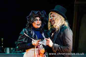 Eurovision star David Ducasse unrecognisable after 'evil' makeover for Newcastle theatre role