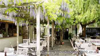 Best beer gardens in Islington for warm sunny days