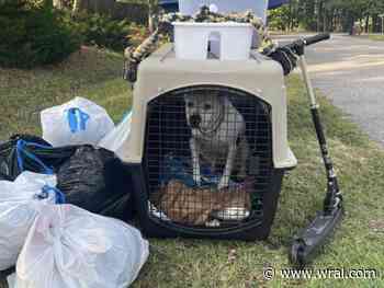 Dog left out with trash ready for new family to love