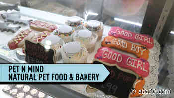 Holistic pet shop features bakery and all-natural food to promote healthy, happy dogs and cats