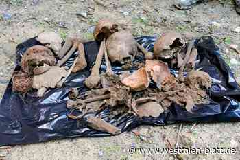 Knochenfunde an der Herforder Münsterkirche