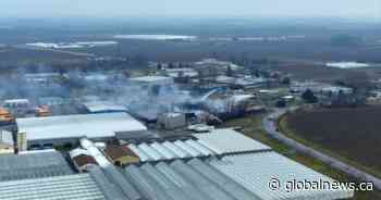 Waste management company Ssonix, directors face 84 charges for St. Catharines fire: officials