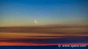 Venus is now a beacon in the early morning sky. Here's how to see it