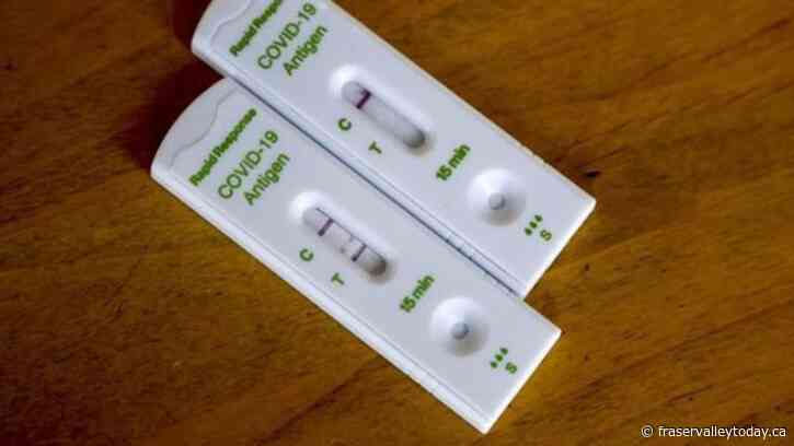 COVID-19 numbers spike in B.C. but no more cases of new variant are detected