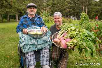 These Thunder Bay gardeners hope their harvest will inspire others to give back