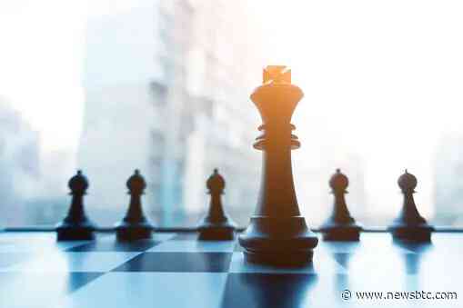 Dogecoin Dominates: Over 40% Holders In Profit, But How Do Other Meme Coins Fare?