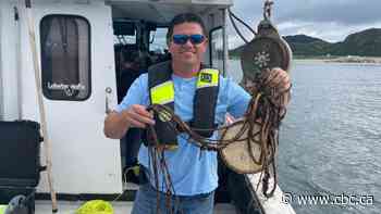 Researchers search for lobster traps, nets and other 'ghost gear' lost near N.L. waters