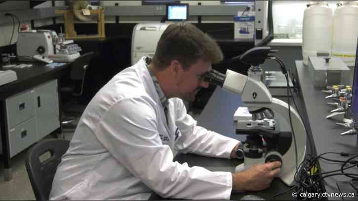 Lethbridge College unveils new Wildlife Analytics Lab, first of its kind in Canada