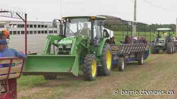 Amaranth Township counting the days to hosting 2023 International Plowing Match