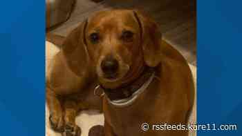 Burnsville Police asking for public help finding dog stolen along with car