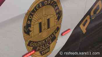 Teen nephew of Golden Valley homeowner charged with robbery in theft of car, litter of puppies