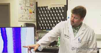 First of its kind lab in Canada telling time using animal teeth